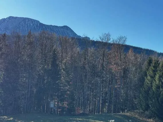 Objektfoto