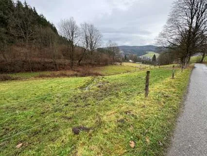 Zwangsversteigerung Land-/Forstwirtschaft in Winterberg: Objektfoto