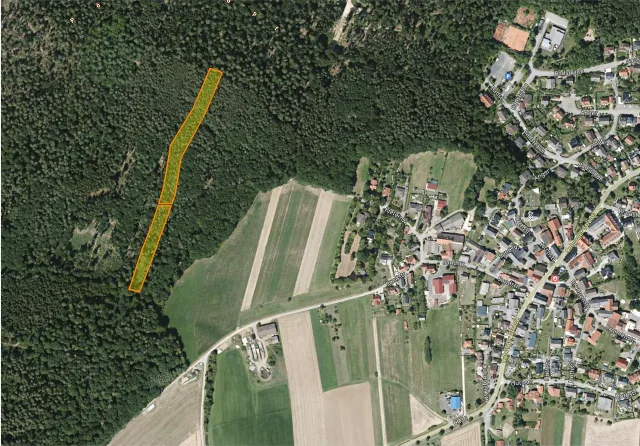 Zwangsversteigerung Land-/Forstwirtschaft in Ahorn: Objektfoto