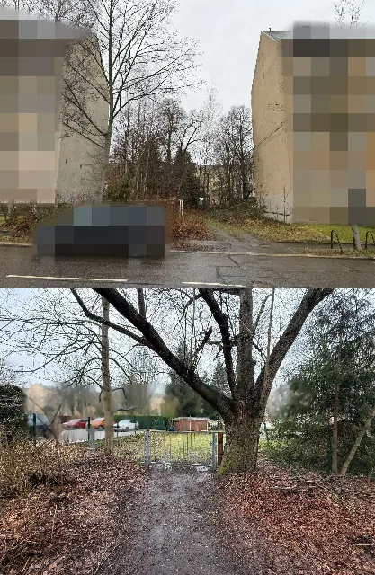 Zwangsversteigerung Grundstück in Chemnitz: Objektfoto