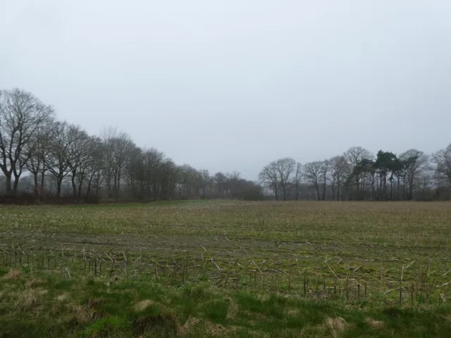 Zwangsversteigerung Land-/Forstwirtschaft in Barßel: Objektfoto