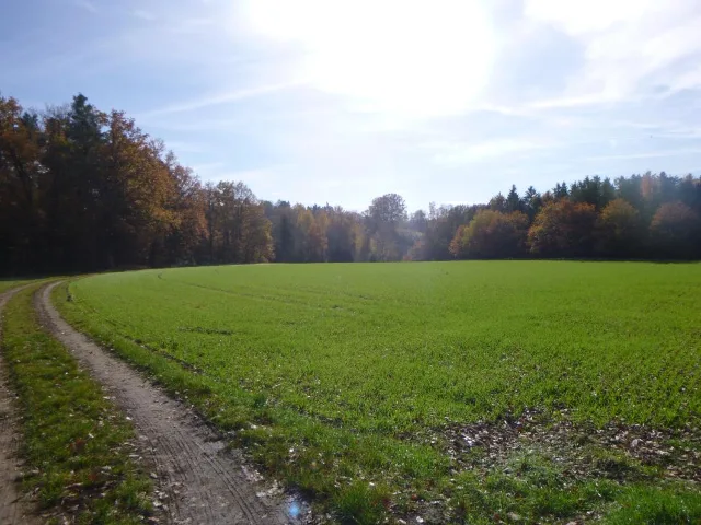 Zwangsversteigerung Land-/Forstwirtschaft in Jägerruit: Objektfoto