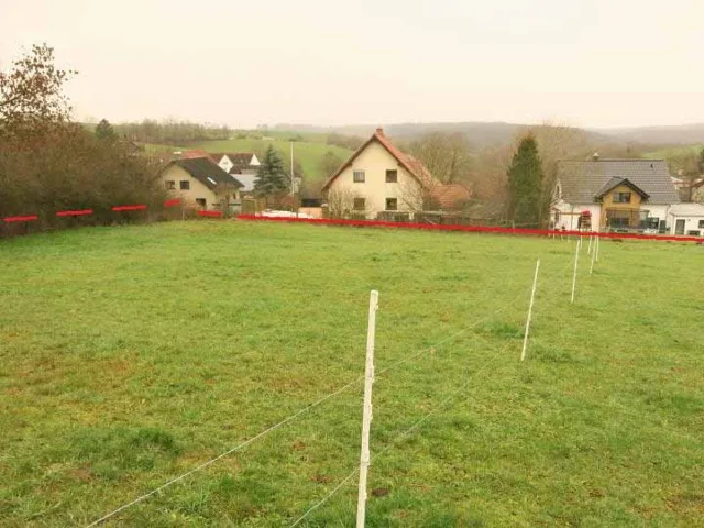 Objektfoto