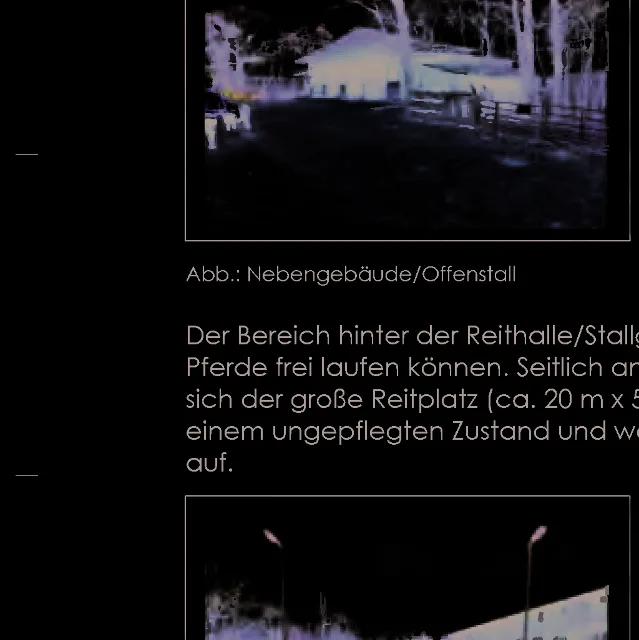 Zwangsversteigerung Einfamilienhaus in Langgöns: Objektfoto