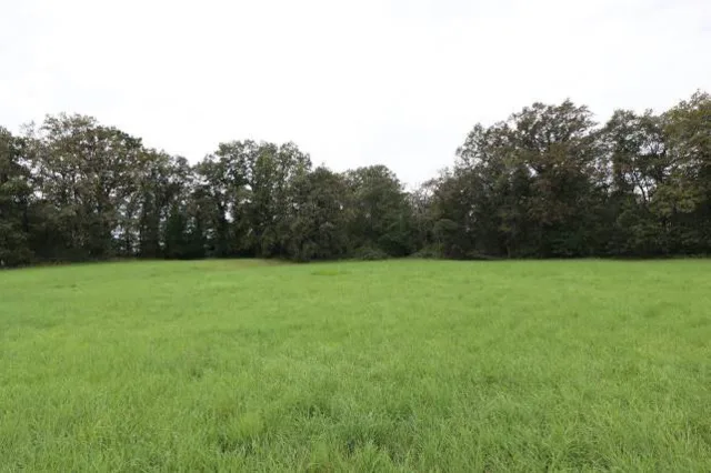 Zwangsversteigerung Land-/Forstwirtschaft in Kamenz: Objektfoto