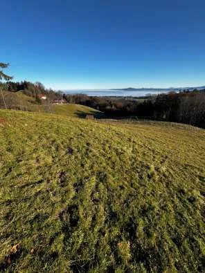Zwangsversteigerung Land-/Forstwirtschaft in Anger: Objektfoto