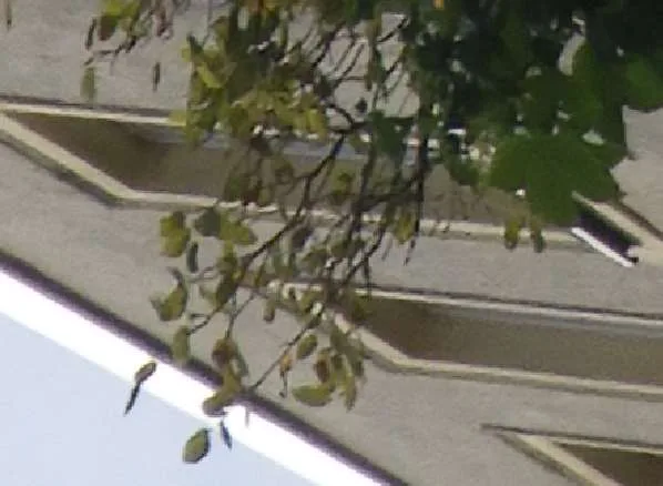 Zwangsversteigerung Gewerbe in Chemnitz: Objektfoto