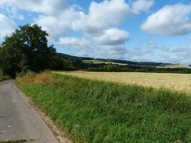 Zwangsversteigerung Land-/Forstwirtschaft in Kobern-Gondorf: Objektfoto