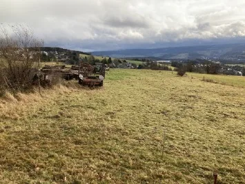 Zwangsversteigerung Land-/Forstwirtschaft in Lauter-Bernsbach: Objektfoto