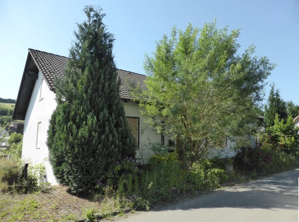 Front view of single-family house with white walls, dark roof, overgrown vegetation and trees