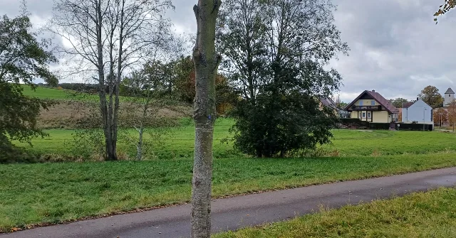 Zwangsversteigerung Land-/Forstwirtschaft in Saara: Objektfoto
