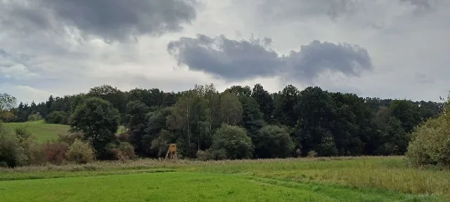 Objektfoto
