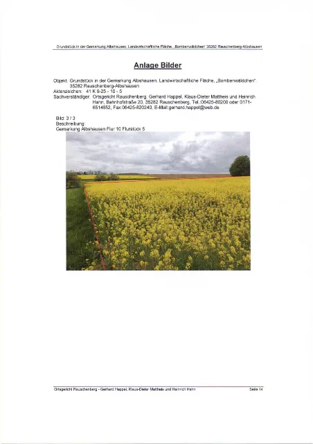 Zwangsversteigerung Land-/Forstwirtschaft in Rauschenberg: Objektfoto