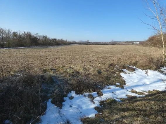 Zwangsversteigerung Land-/Forstwirtschaft in Südharz: Objektfoto