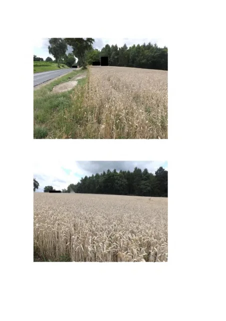 Objektfoto