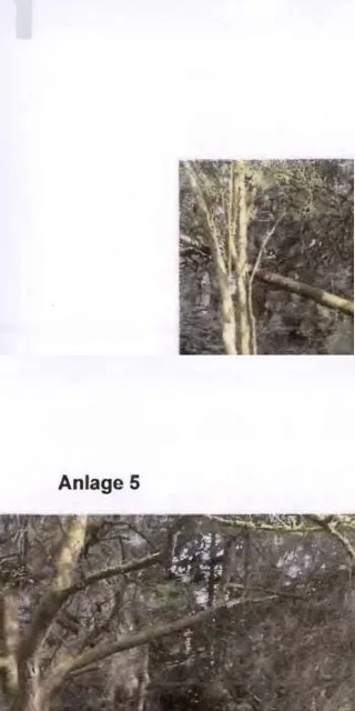 Zwangsversteigerung Land-/Forstwirtschaft in Marburg: Objektfoto