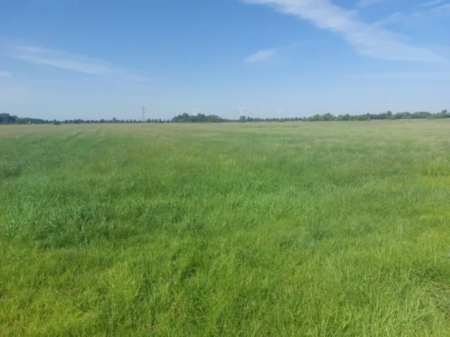 Zwangsversteigerung Land-/Forstwirtschaft in Moormerland: Objektfoto