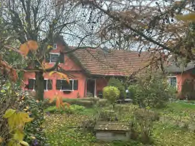 Objektfoto