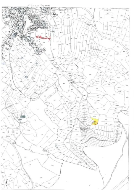 Zwangsversteigerung Land-/Forstwirtschaft in Pettendorf: Objektfoto
