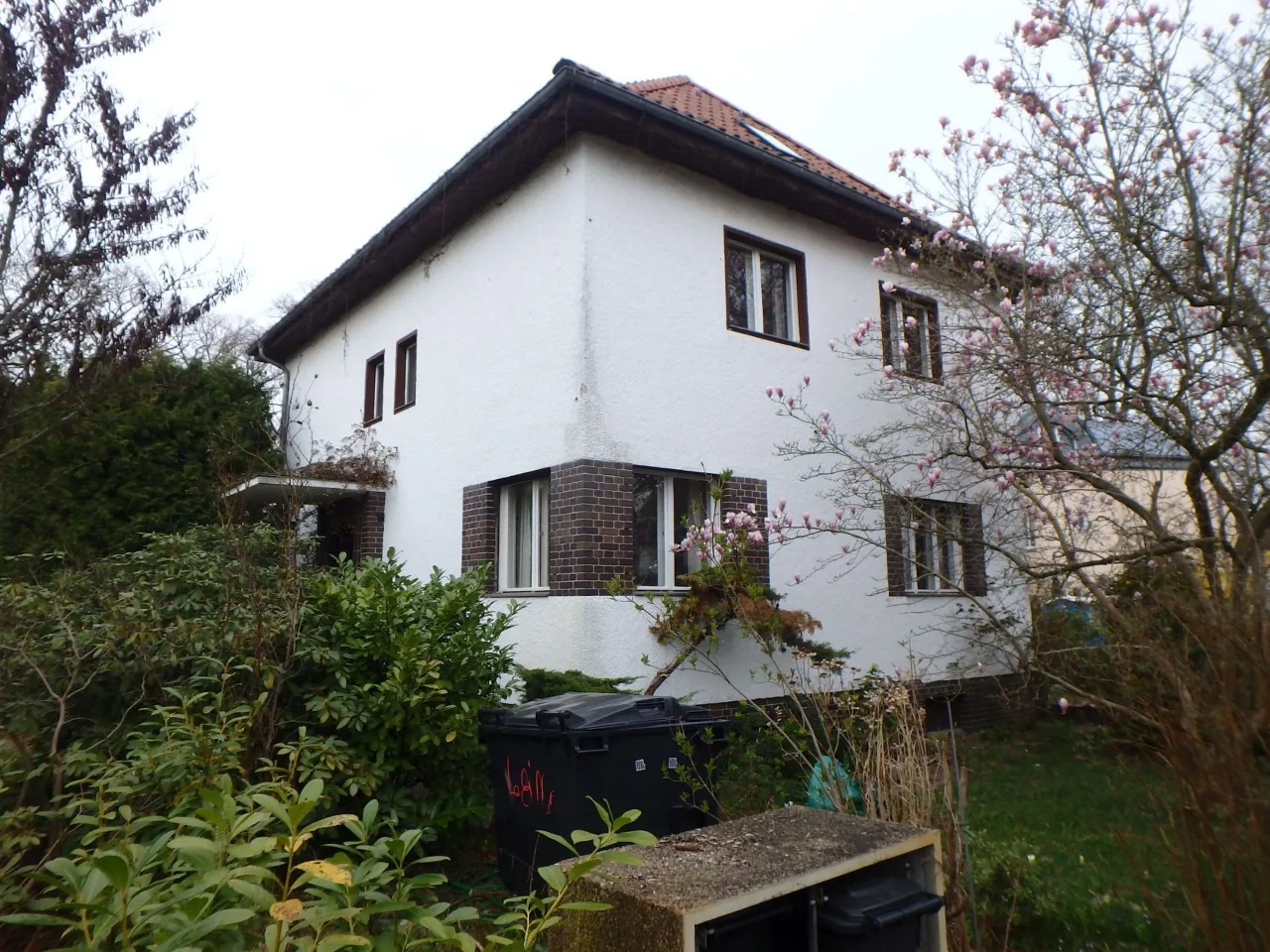 Weiß verputztes Einfamilienhaus mit rotem Ziegeldach, Frontansicht schräg, Magnolie im Vordergrund.
