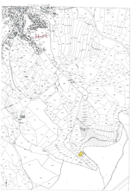 Zwangsversteigerung Land-/Forstwirtschaft in Pettendorf: Objektfoto