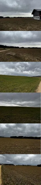 Objektfoto