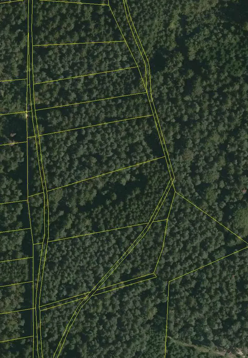 Luftbildkarte mit eingezeichneten Grundstücksgrenzen (gelbe Linien) — Waldgrundstücke mit eindeutiger Vermessung und Grenzmarkierung