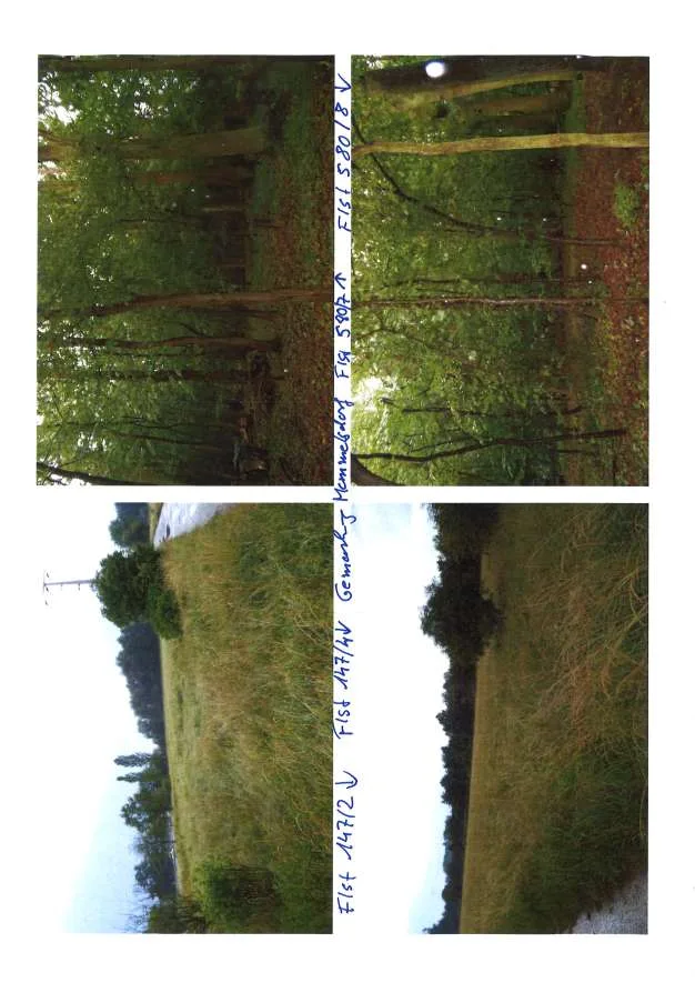 Grundstücksfotos Flst. 147/2 und 147/4 (Wiese) sowie Flst. 580/7 bzw. 580/8 (Wald), Gemarkung Memmelsdorf; kein Gebäude sichtbar