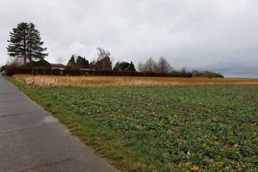 Zwangsversteigerung Land-/Forstwirtschaft in Erftstadt: Objektfoto