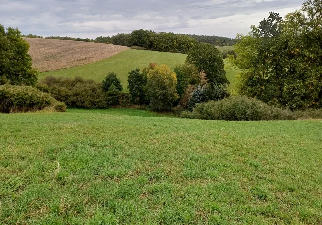 Objektfoto