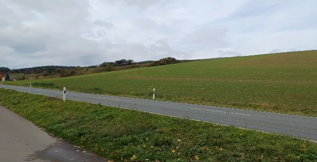Zwangsversteigerung Land-/Forstwirtschaft in Saara: Objektfoto