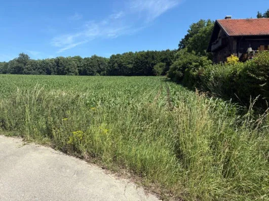 Zwangsversteigerung Unbebautes Grundstück in Bad Griesbach i. Rottal: Objektfoto