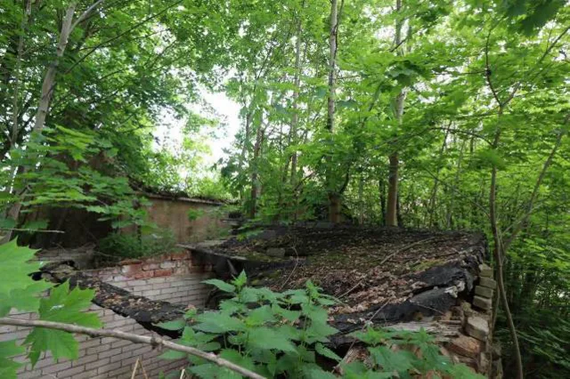 Zwangsversteigerung Sonstiges in Schirgiswalde-Kirschau: Objektfoto