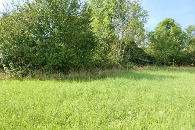 Objektfoto