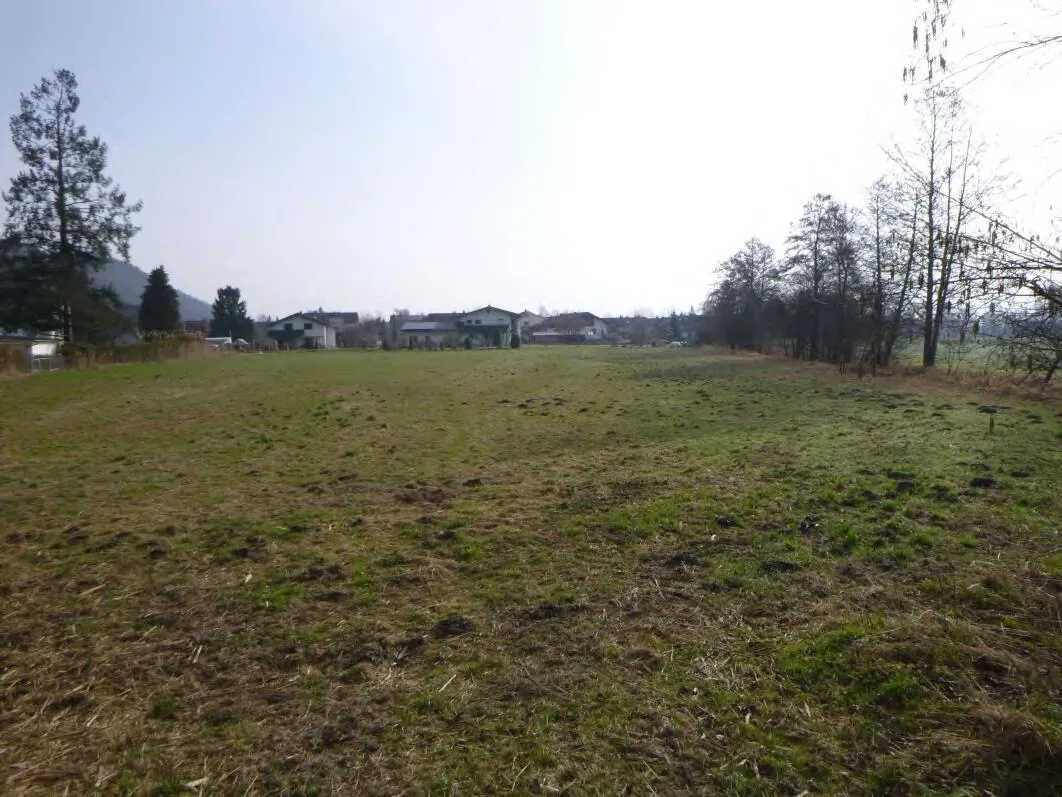 Unbebaute Wiesenfläche, im Hintergrund in der Ferne Wohnbebauung und Bäume.