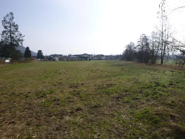 Zwangsversteigerung Land-/Forstwirtschaft in Kirchforf a. Inn: Objektfoto