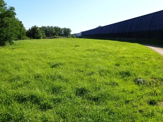 Zwangsversteigerung Land-/Forstwirtschaft in Schwabach/Ottersdorf: Objektfoto
