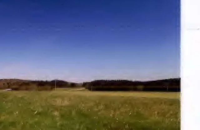 Zwangsversteigerung Land-/Forstwirtschaft in Lauterbach: Objektfoto