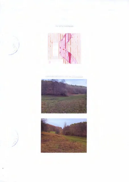 Zwangsversteigerung Sonstiges in Usingen: Objektfoto